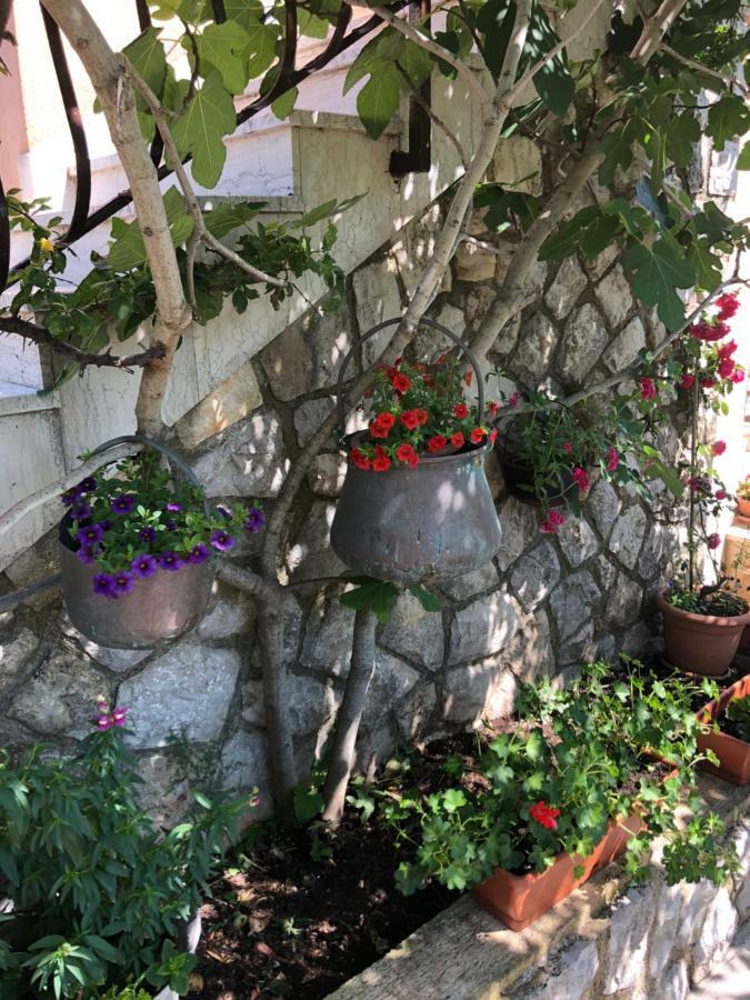 Apartments Ida Cres Εξωτερικό φωτογραφία