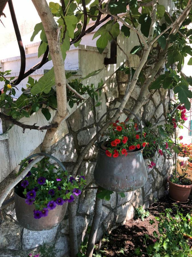 Apartments Ida Cres Εξωτερικό φωτογραφία